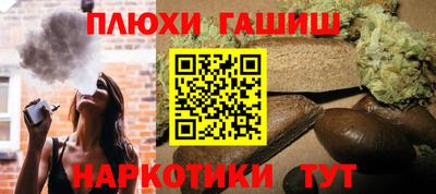 индика Дмитров