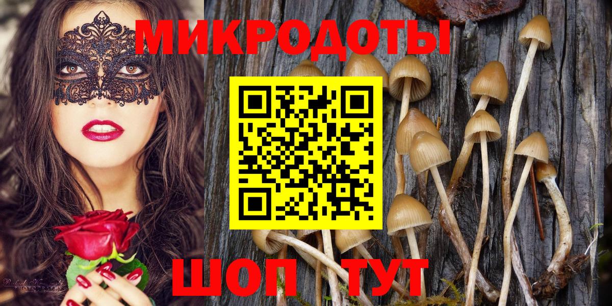 Галлюциногенные грибы мицелий  Вход с VPN  Кольчугино 