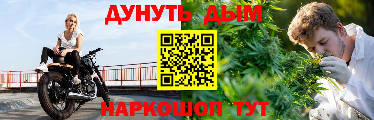 Каннабис сатива Кольчугино